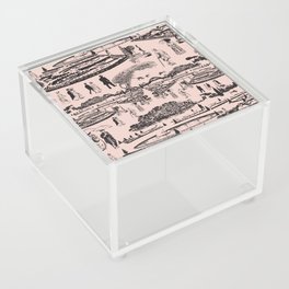 Versaille Toile en rose Acrylic Box