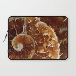 Ammonite Laptop Sleeve