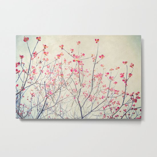 Ruby and Rose Quartz -- Red Pink Dogwood Tree in Flower Metal Print