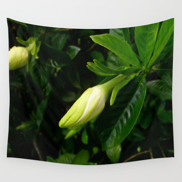 Ready to Bloom Wall Tapestry