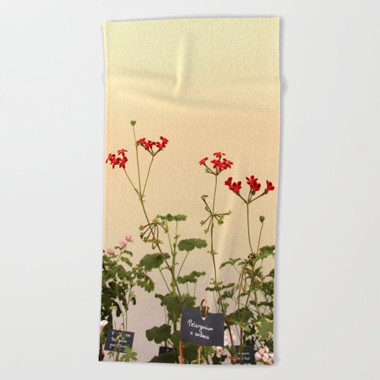 Geraniums (Pelargonium) #6 Beach Towel