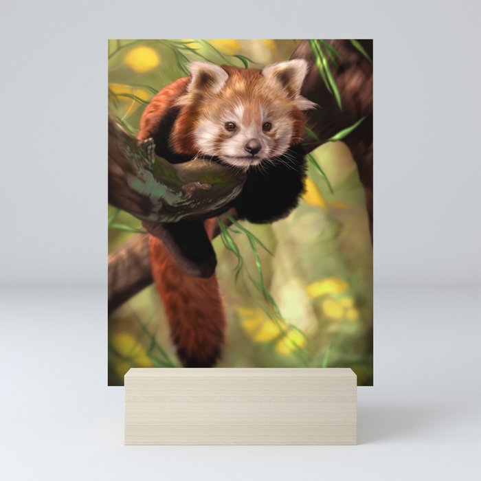Red Panda Mini Art Print