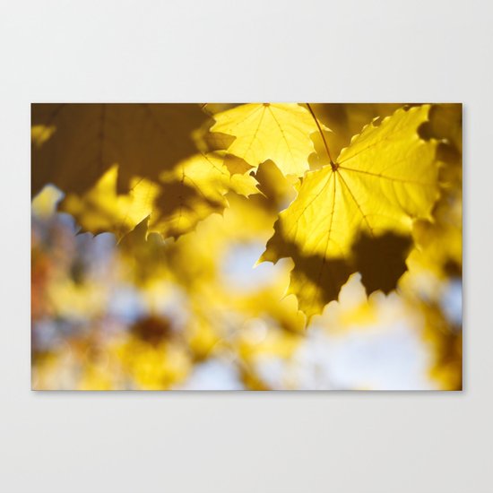 fall Canvas Print