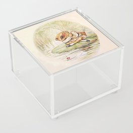 “Jeremy Fisher on a Lilypad” by Beatrix Potter Acrylic Box