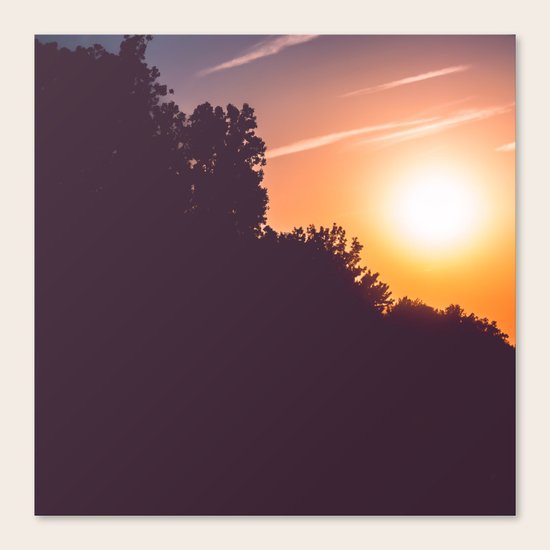 Last Light Canvas Print