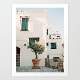 Frigiliana, Spain / Travel photography / Still on film Art Print