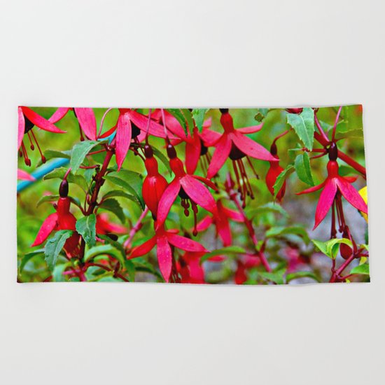 Pink Fuchsia Blossoms Beach Towel