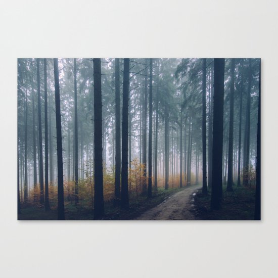 Into the woods #fog Canvas Print