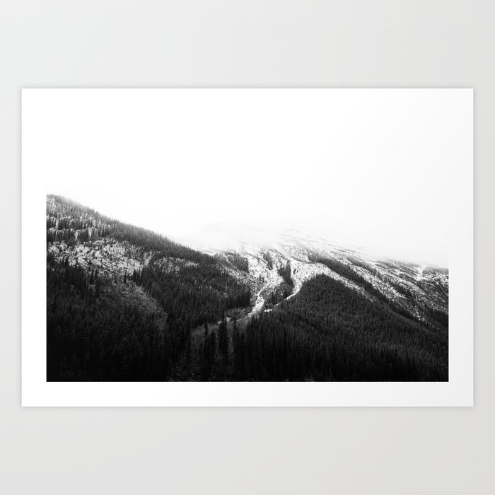 Forest in Mountains | Landscape Photography | Wilderness  Art Print