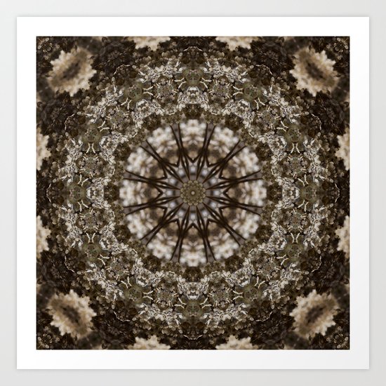 Chocolate Brown Art Print