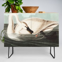 Trumpeter Swan from Birds of America (1827) by John James Audubon Credenza