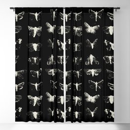 moths Blackout Curtain