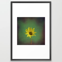 The yellow flower of my old friend Framed Art Print