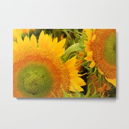 SUNFLOWERS Mother's Day & Birthday Gifts  - Donald Verger Valentine's Photography Metal Print
