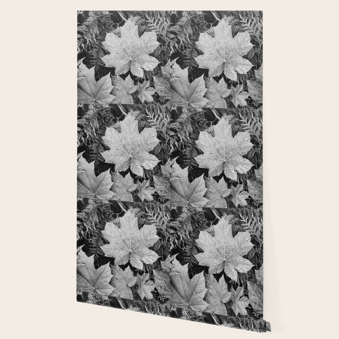 Ansel Adams Leaves Wallpaper By Constantchaos Society6