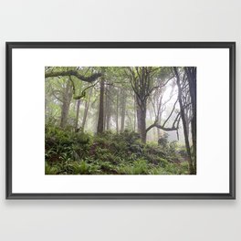 Pacific Northwest Fog Framed Art Print