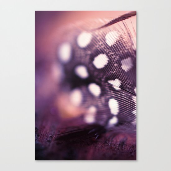 Tiny Feather Canvas Print