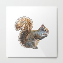 Adorable Squirrel Eating Nut Watercolor by Irina Sztukowski Metal Print