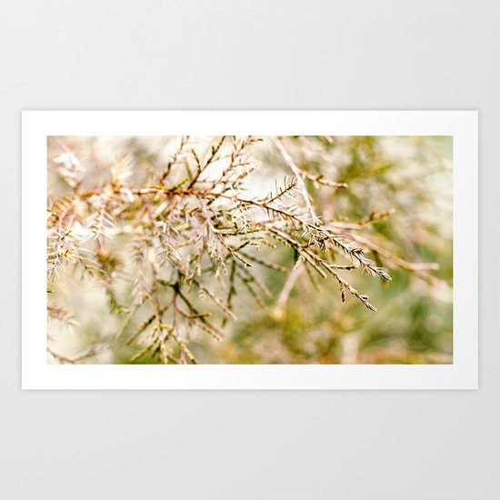 prickly Art Print