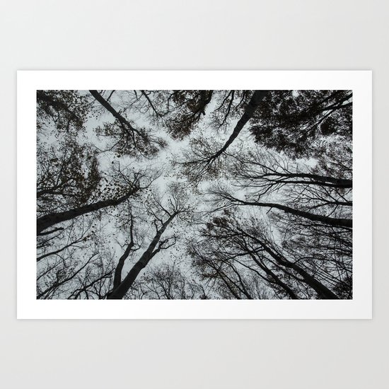 Forest dweller Art Print