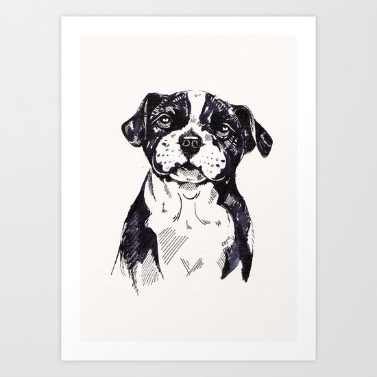 Staffy Pup Sketch Art Print