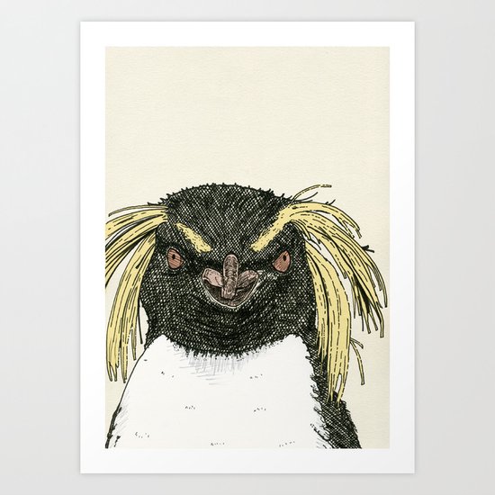 Macaroni Penguin Art Print