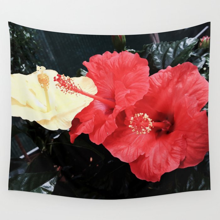 Three pastel yellow and coral Hibiscus flowers in the garden retro botanical cottage core photography Wall Tapestry