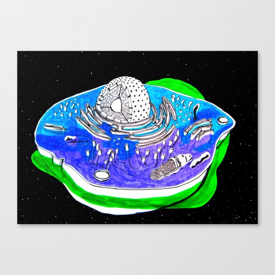 Animal Cell Canvas Print