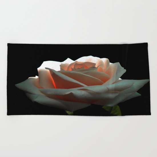 A Beautiful Rose Beach Towel
