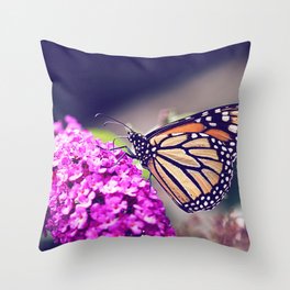 Butterfly Dreams Throw Pillow