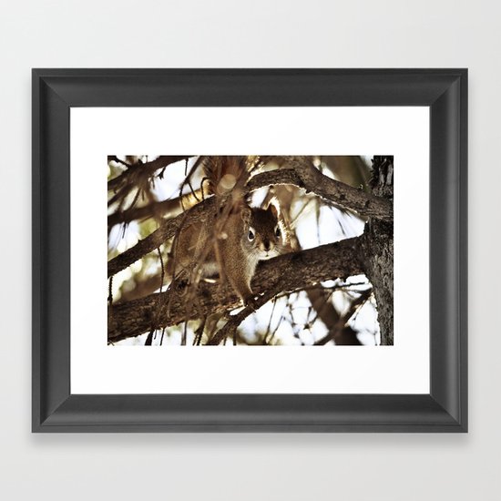 casse-noisettes Framed Art Print