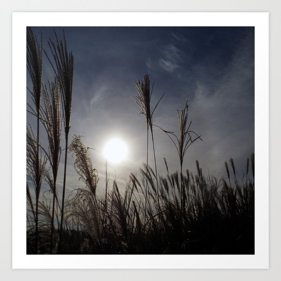 Beautiful Sunset In The Field Art Print