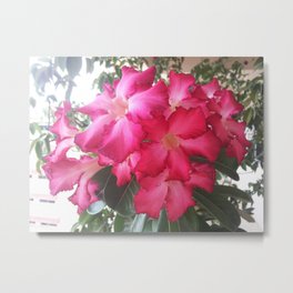 GORGEOUSLY RED Metal Print