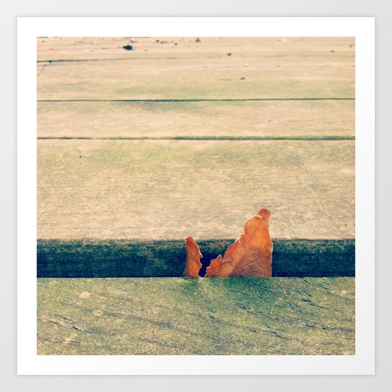 Lone Leaf Art Print