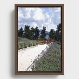 Lavender Garden Framed Canvas