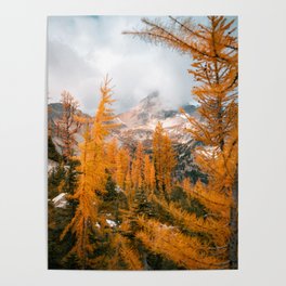 Larch Madness Poster
