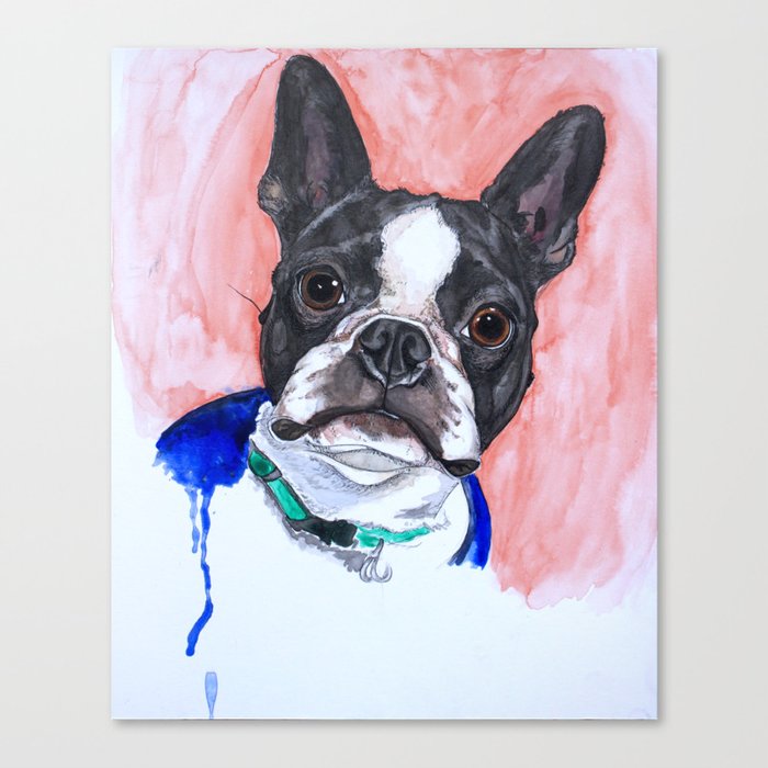 Boston Terrier Canvas Print