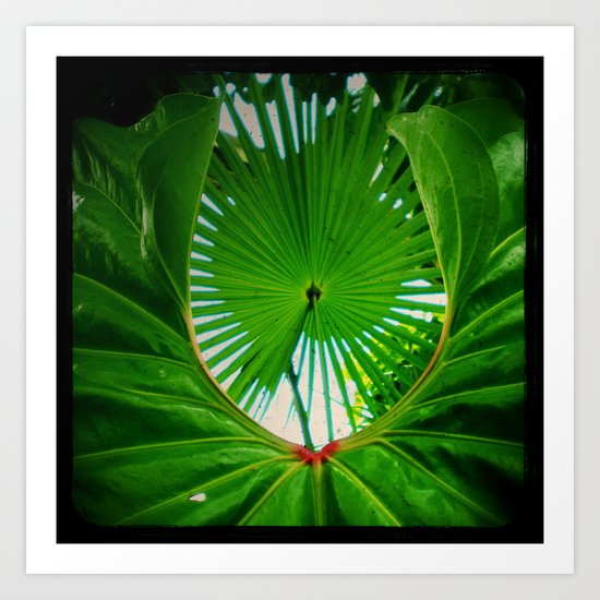 Palms Art Print