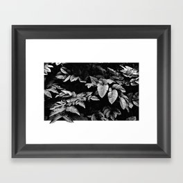 Nature Framed Art Print