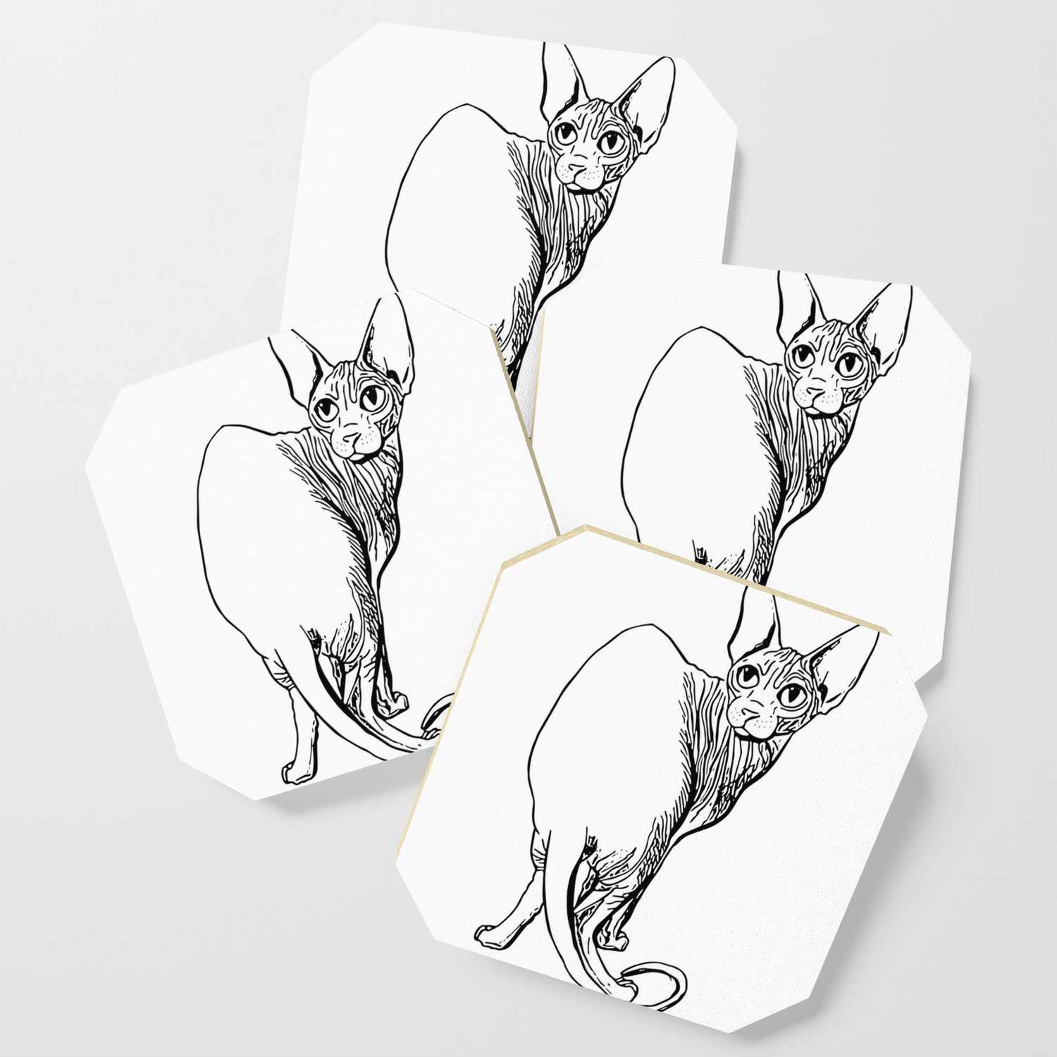 Sphynx Cat Illustration Sphynx Cat Drawing Naked Cat Wrinkly Cat Black And White Coaster By Ananovakovic Society6,Step By Step Dog Drawings In Pencil