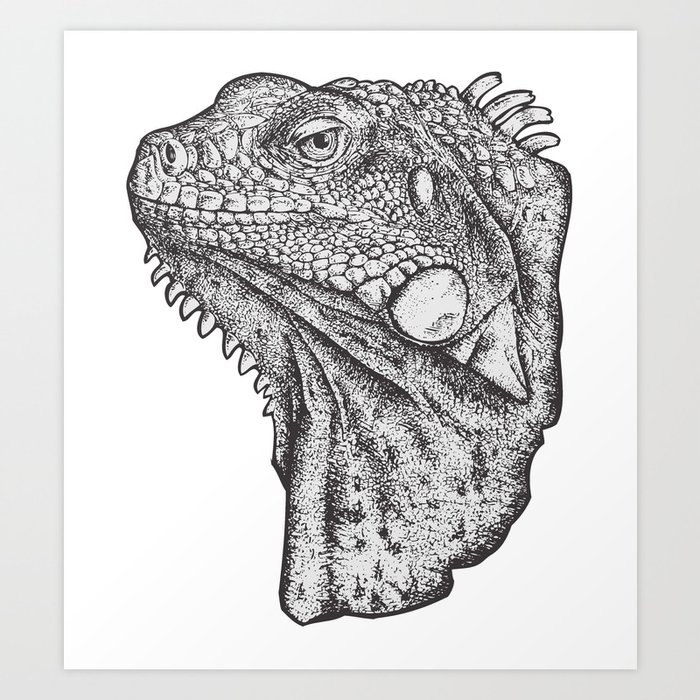 Iguana - Hand Drawn Art Print