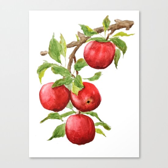 red apple Canvas Print