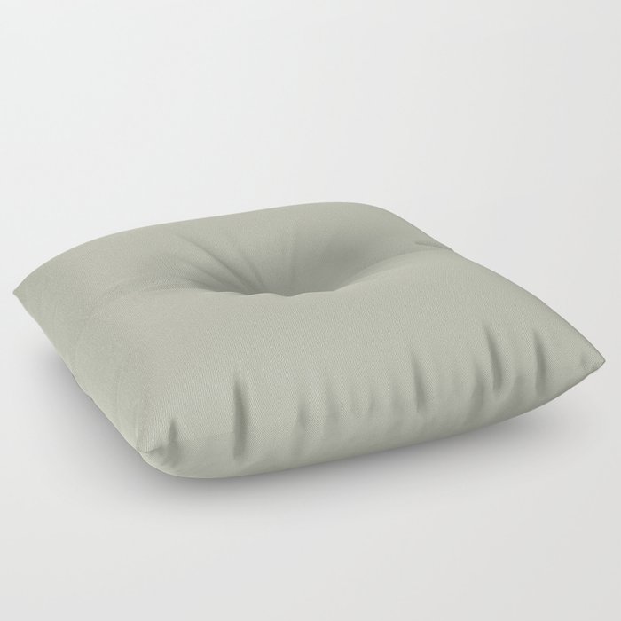 Light Sage Green Solid Color Pairs Benjamin Moore 2022 Color of the Year October Mist 1495 Floor Pillow