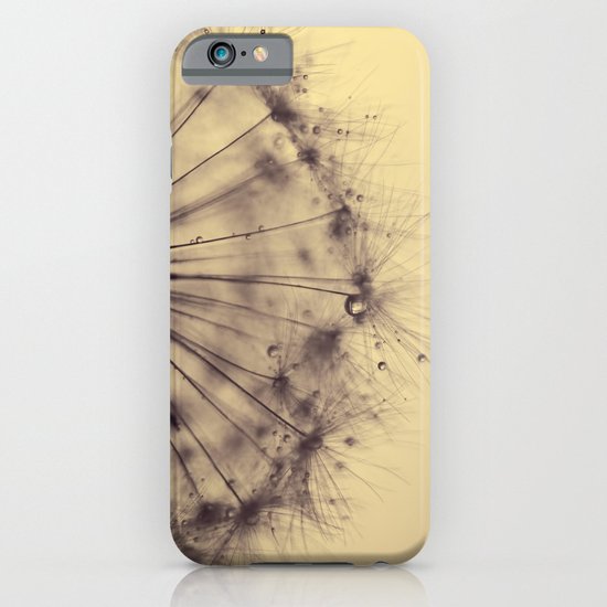 dusk - dandelion iPhone & iPod Case