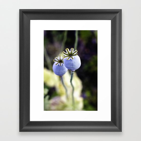 Poppy heads Framed Art Print