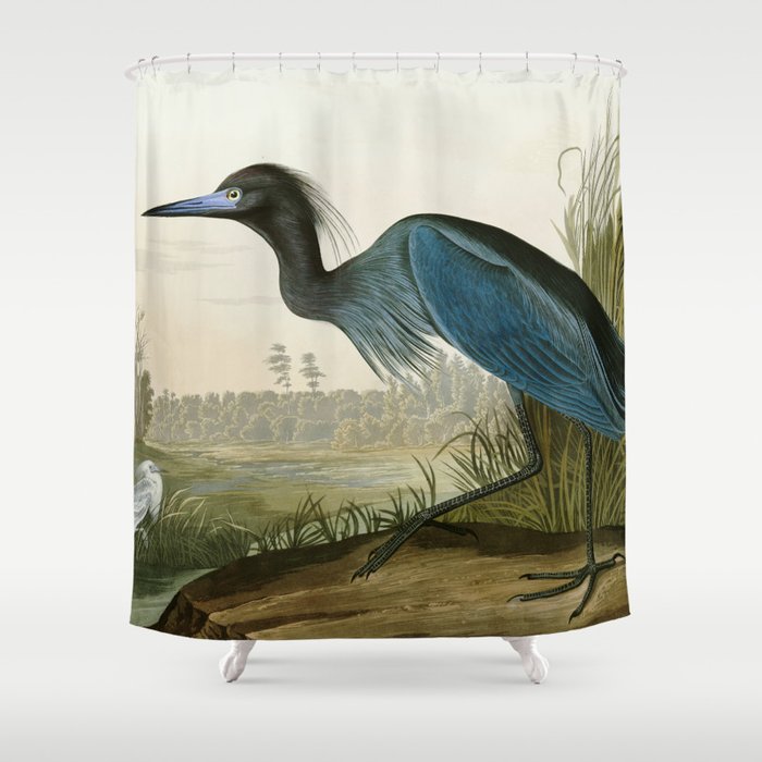 Little Blue Heron - John James Audubon's Birds of America Print Shower Curtain