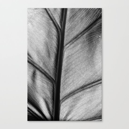 silver leaf Canvas Print