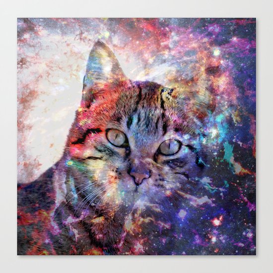 SpaceCat Canvas Print