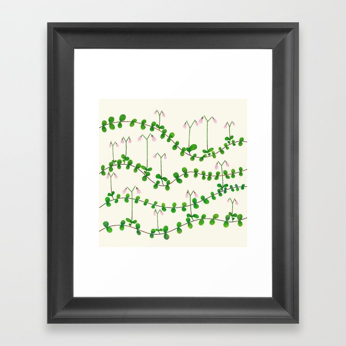 Linnaea borealis Framed Art Print
