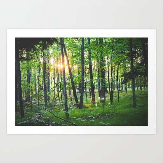 Spring Forest Art Print
